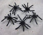 Simulation Flocking Spider Mouse Bat Black Grey